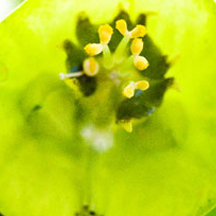 ip攻击器网页版ddos